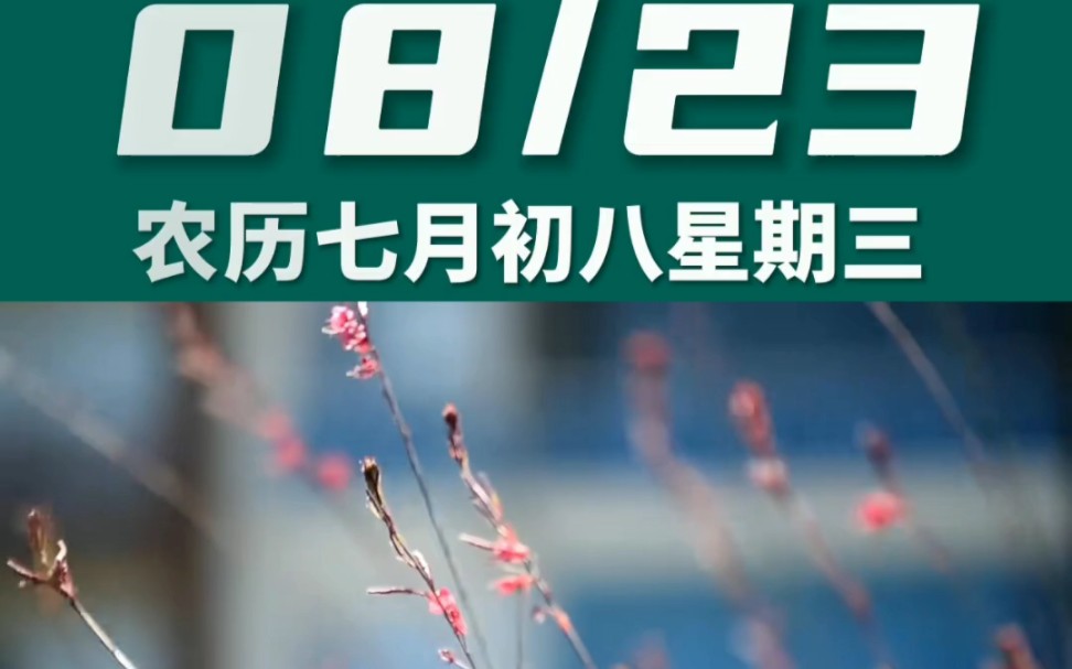 澳门黄大仙免费资料5月8日2023年的简单介绍